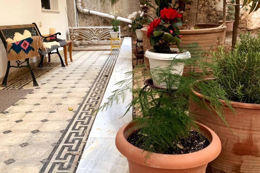 Quiet And Central Flat With Private Backyard Garden Атина Екстериор снимка