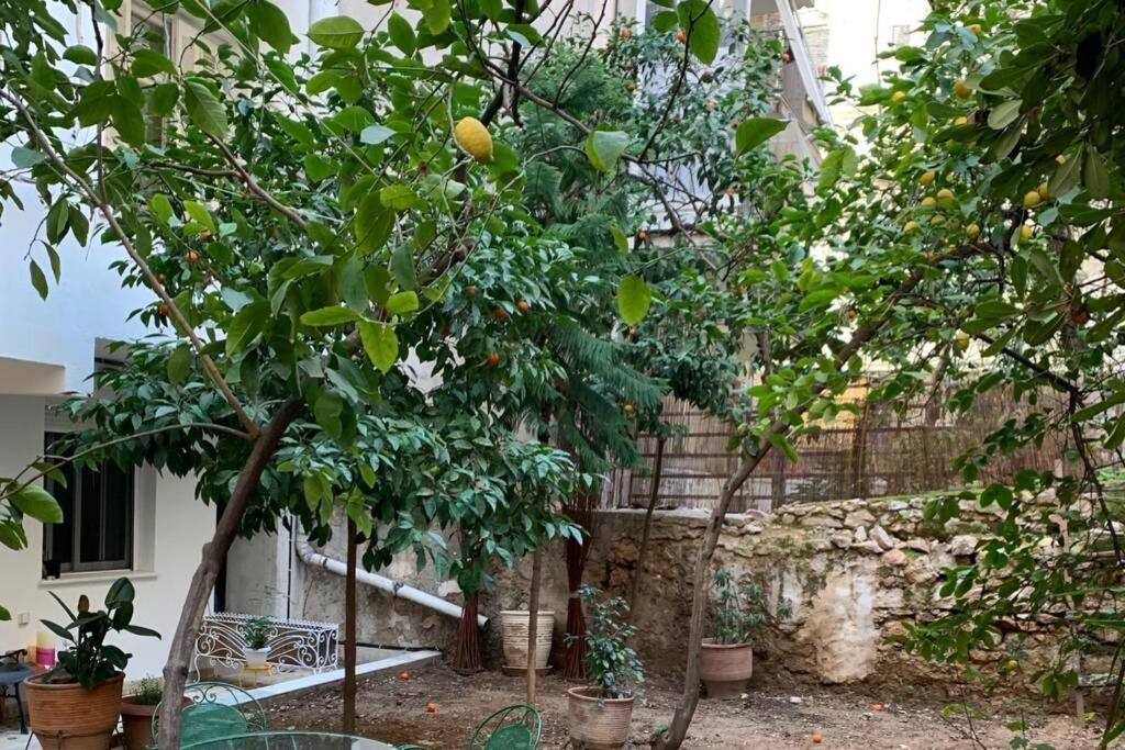 Quiet And Central Flat With Private Backyard Garden Атина Екстериор снимка
